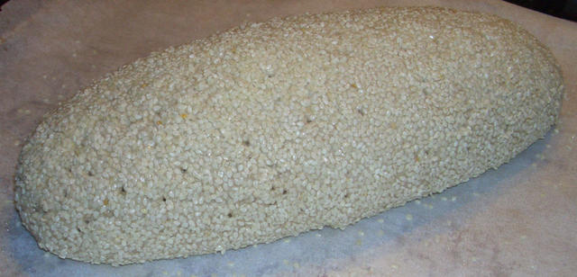 Ball Madame Madame - free image