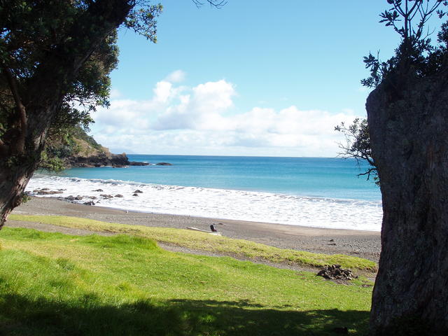 beach in new zealand - free image