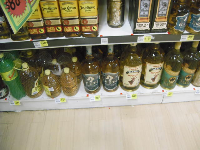 blue agave drink - free image