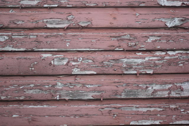 color flakes - free image