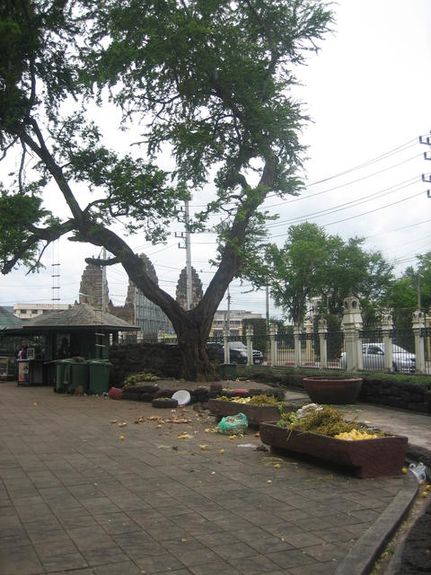 Common day in the week - free image