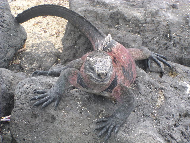 Did I scared you? - free image