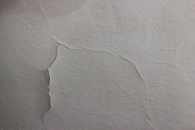 Flakes on wall - free image