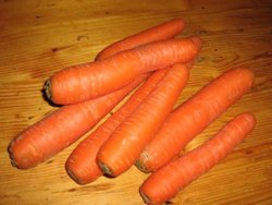 Fresh carrots