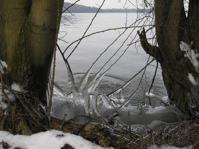 frozen winter - free image