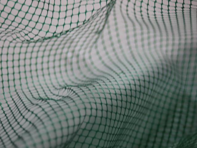 green net - free image