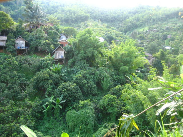 Green valley - free image