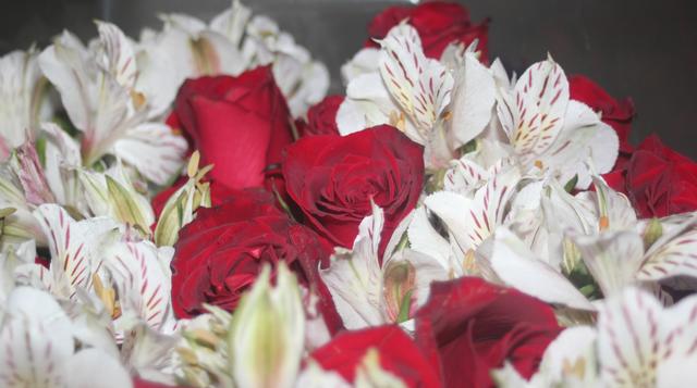 home decor - free image