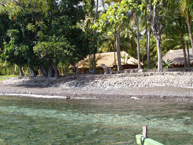 Houses next to sea - free image