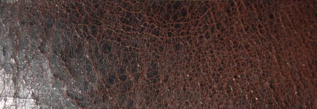 leather starp - free image