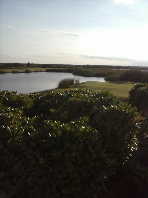 meadow by the lake - free image