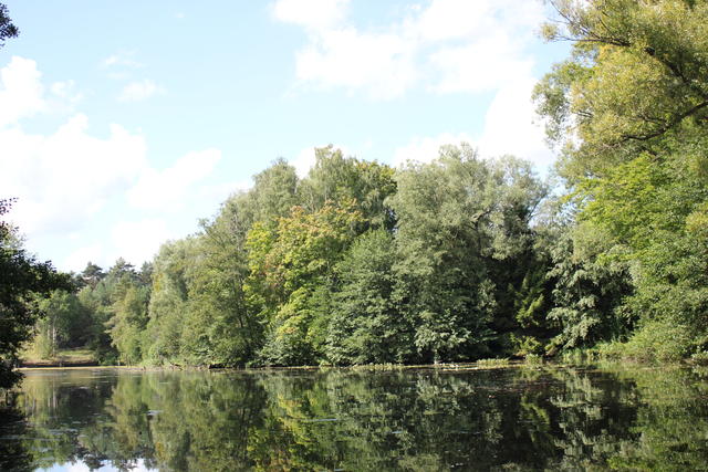 mystery - free image