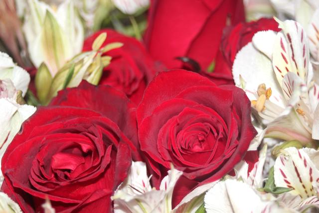 refined art form - free image