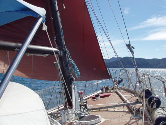 sailboat - free image