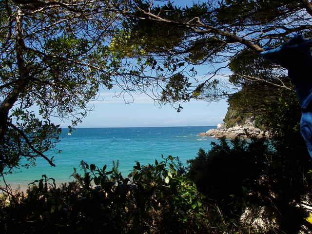 scenery of sea - free image