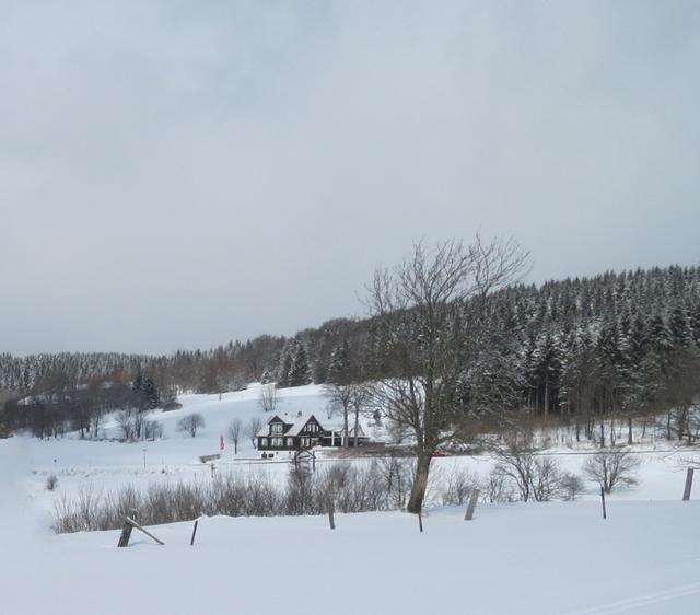 Snow covered - free image