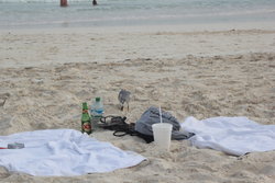 something interesting