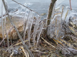 spikes of ice