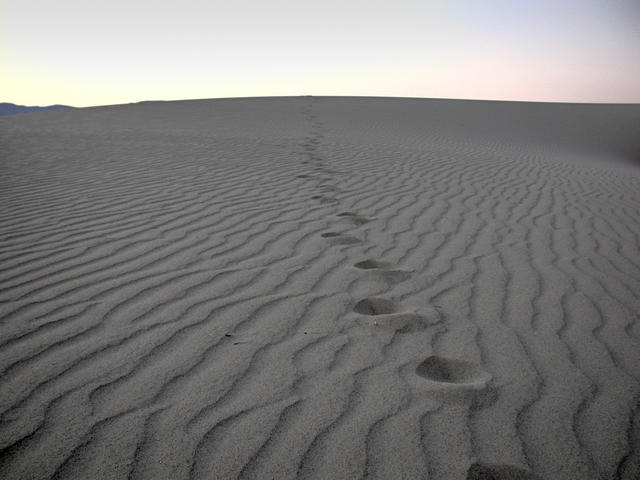 Steps in desert - free image
