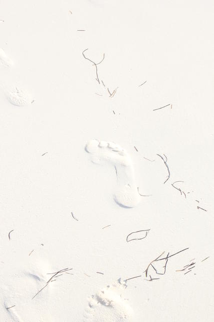 white sand - free image